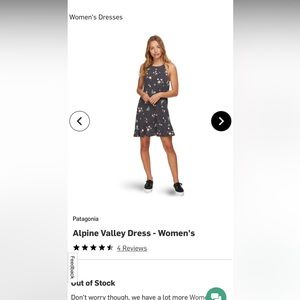 Women's Alpine Valley Dress - Patagonia